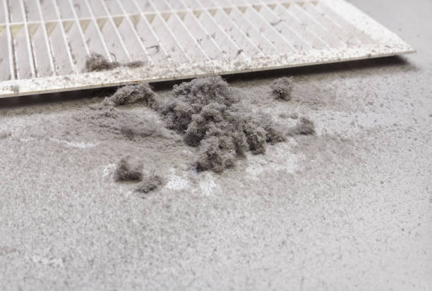 Best Air Vent Cleaning Services  in Oak Grove, TN
