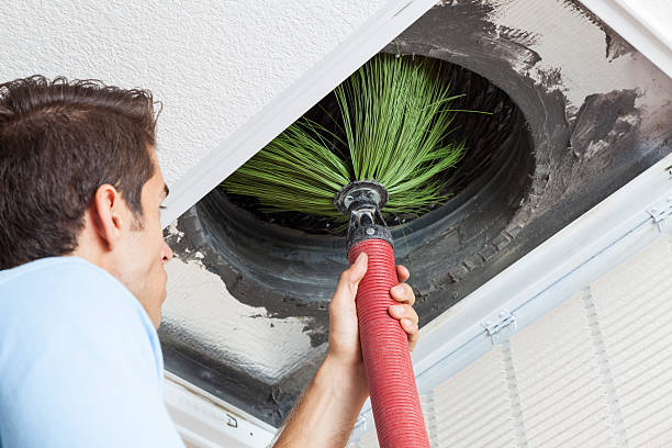 Best Air Duct Cleaning Company Near Me  in Oak Grove, TN